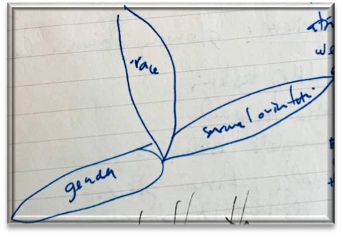 A three-petaled flower, each petal containing some text. Petal 1: gender, Petal 2: race, Petal 3: sexual orientation.